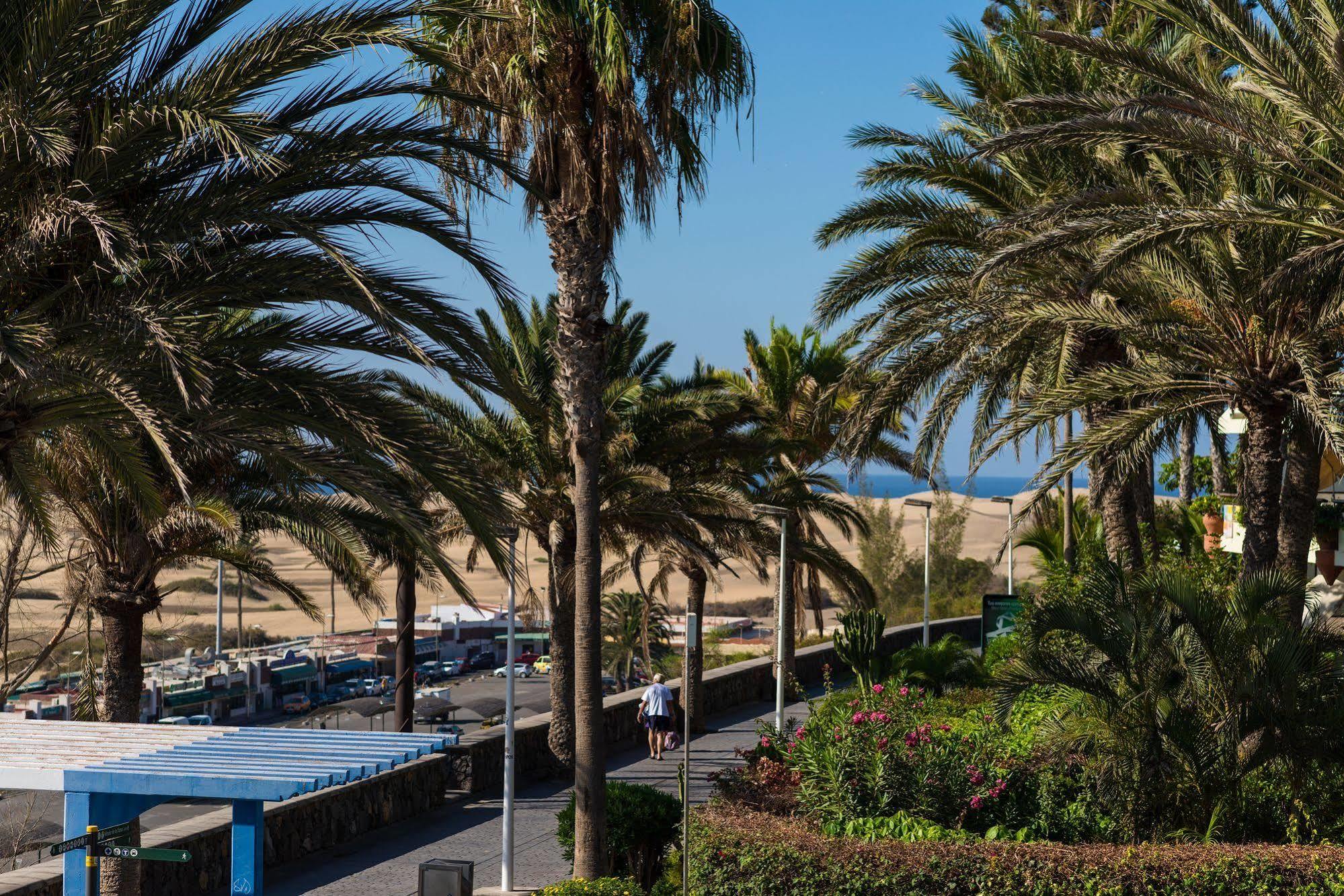 El Paseo Apartament