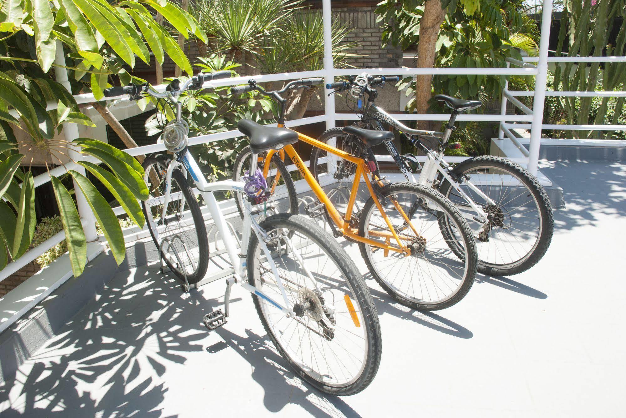 Apartament El Paseo